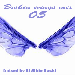 Broken Wings Mix 05