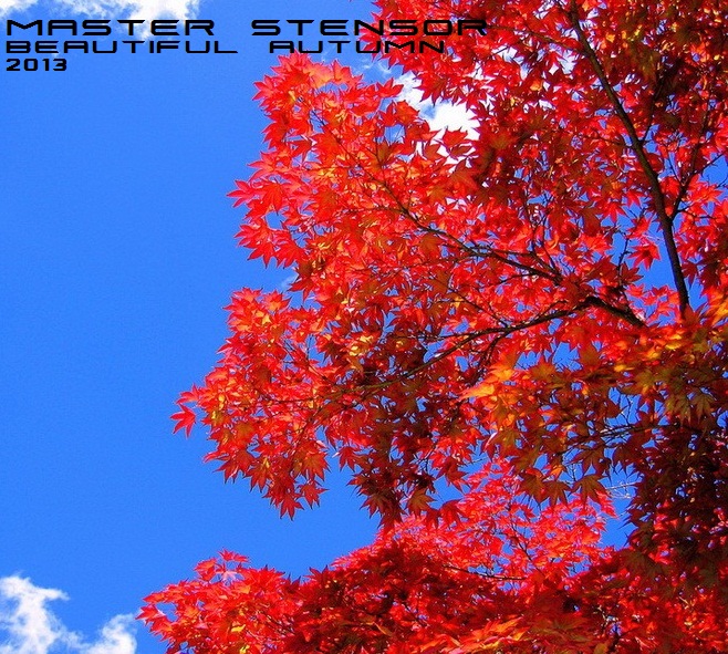 Beautiful Autumn 2013
