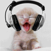 Palpitation.Mix