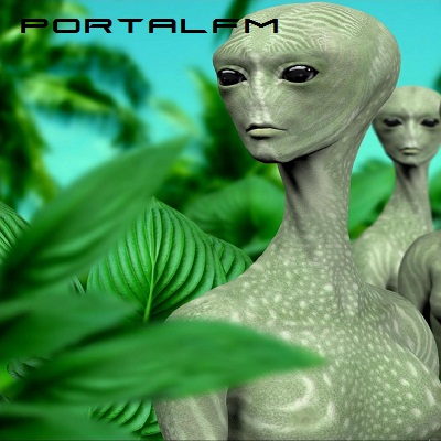 Radio Show PortalFM 230